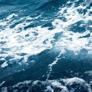 Meet your Posher, Kyra